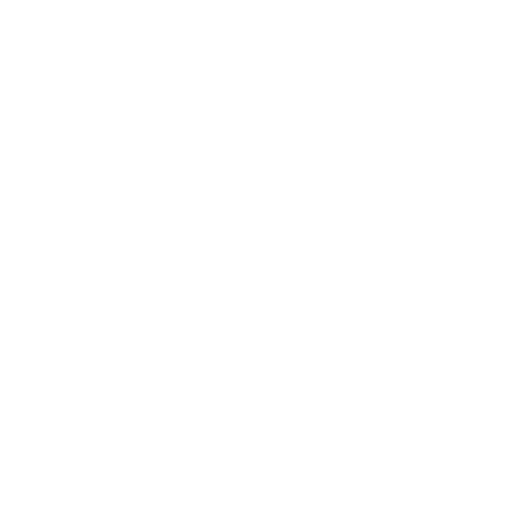 Logo Ennotex Blanc